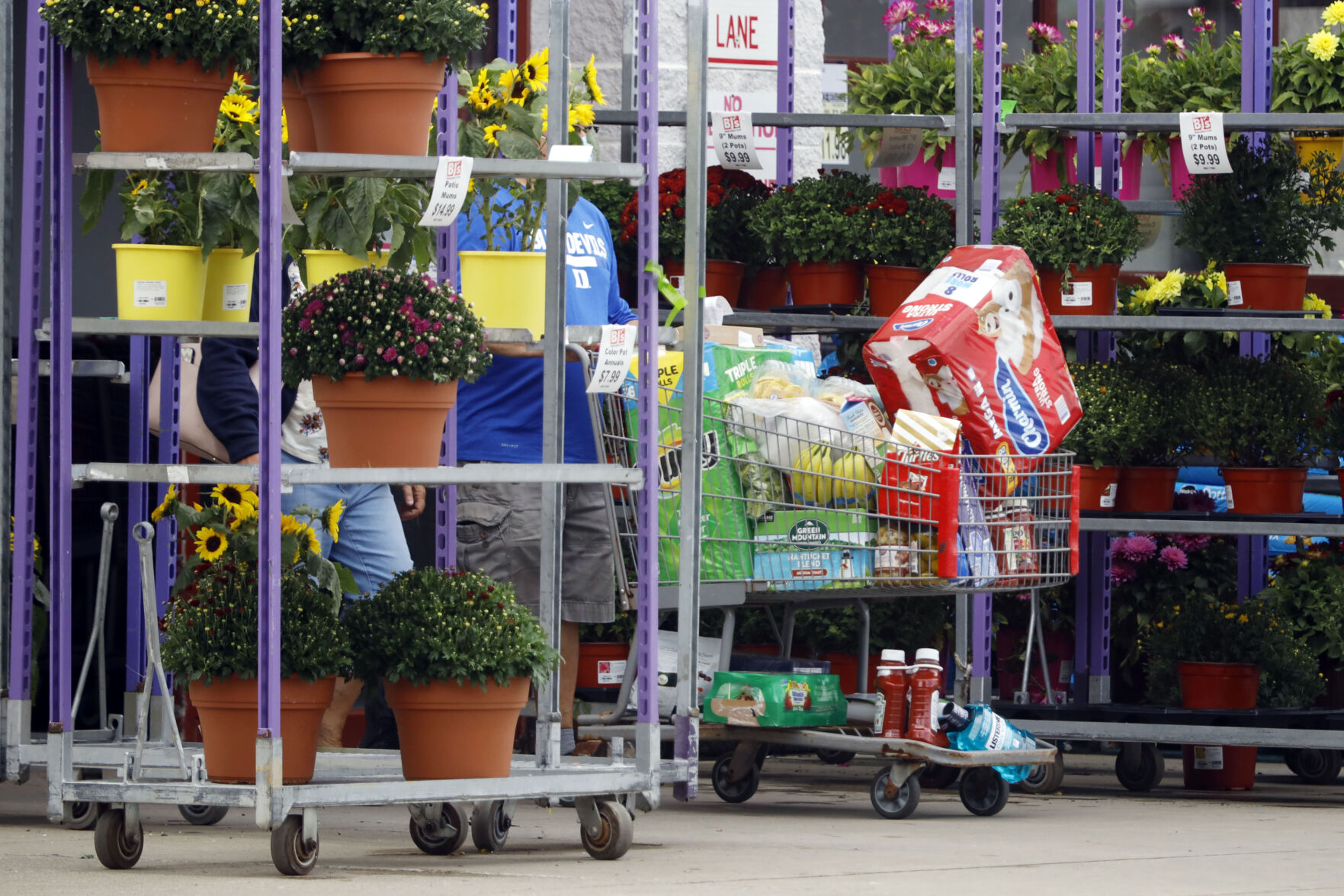 shopping cart filled with groceries